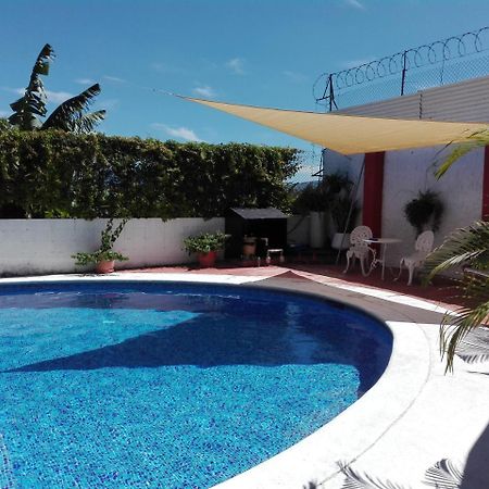 Casa San Benito Ξενοδοχείο Σαν Σαλβαντόρ Εξωτερικό φωτογραφία